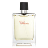 Hermes Terre D'Hermes Eau De Toilette Spray 100 ml