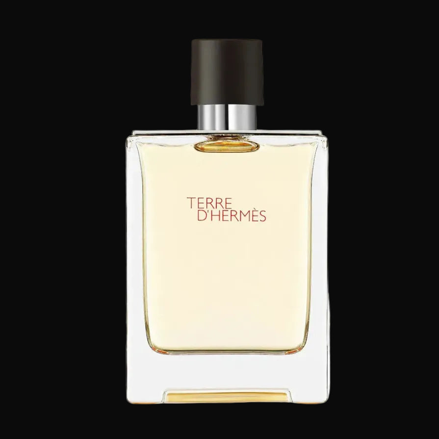  Tester Terre d'Hermes Eau De Toilette Spray 100 ml 